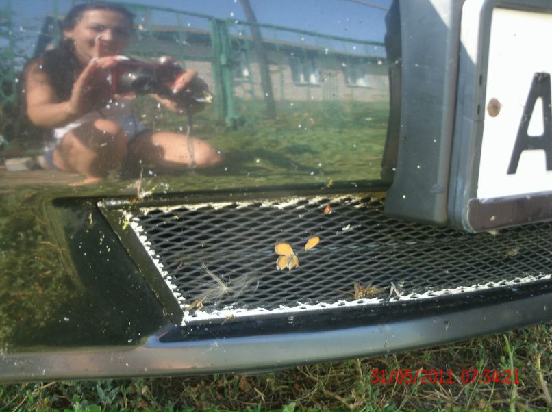 Оленька Михедерова | Самара