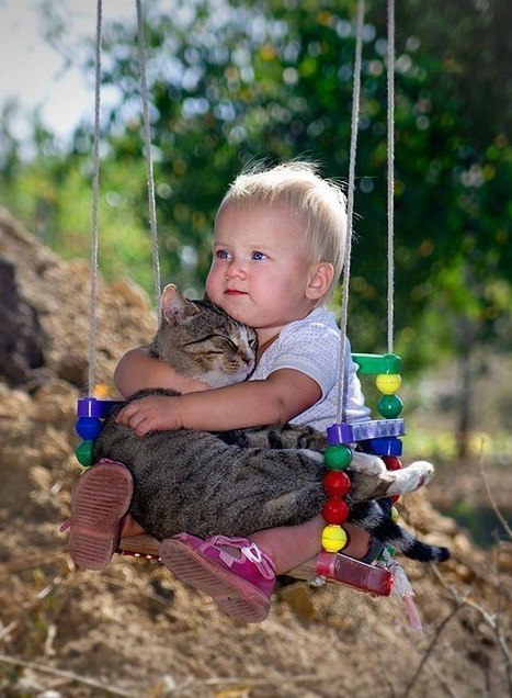 Евгений Цветков | Краснодар