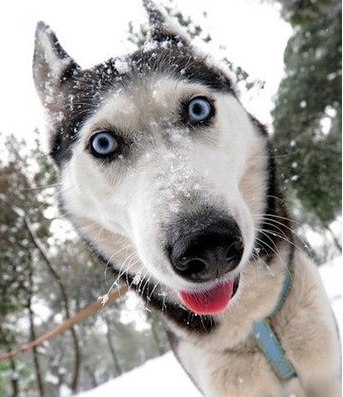 Юра Романовский | Могилёв