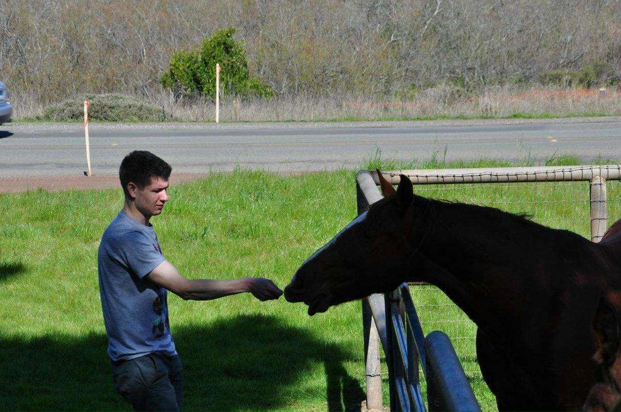 Tatiana King | Чернигов