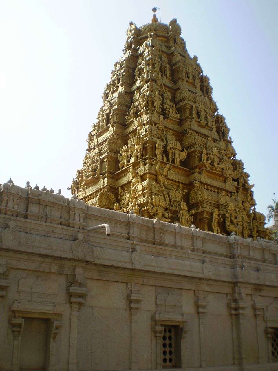 Алсу Шигабиева | Краснодар