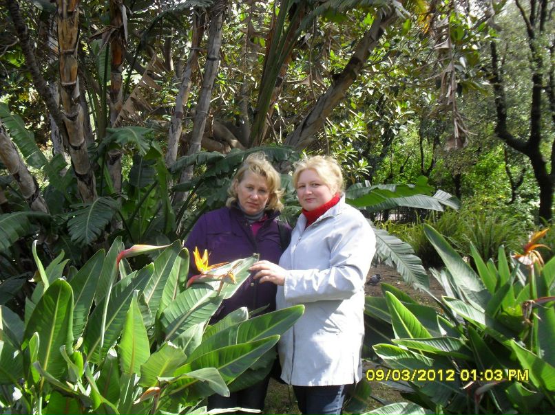 Алла Тихоненко | Кременчуг