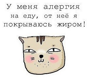 Евгения Самохвалова | Санкт-Петербург