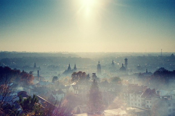 №8, Мирослав Петров, 34 года, Львов №8, Мирослав Петров, 34 года, Львов