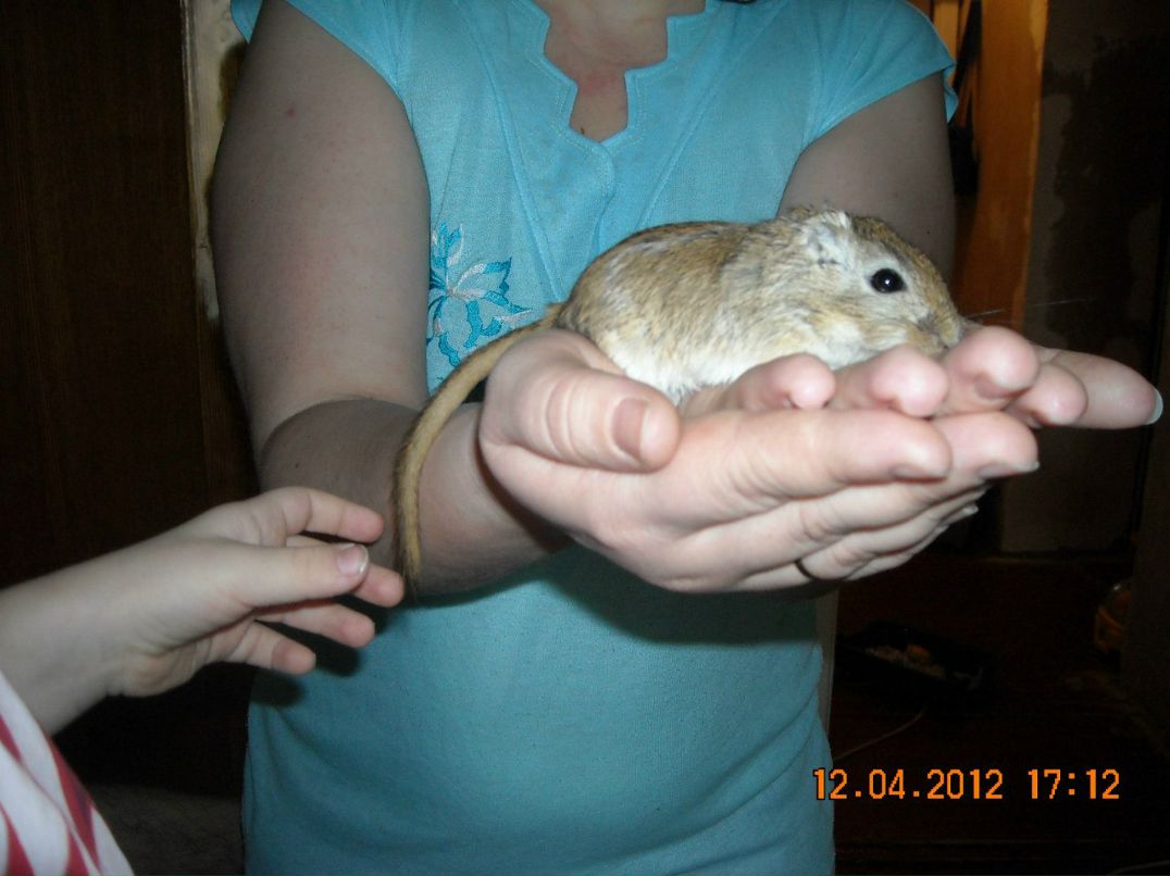 Денис Трофимов | Сланцы