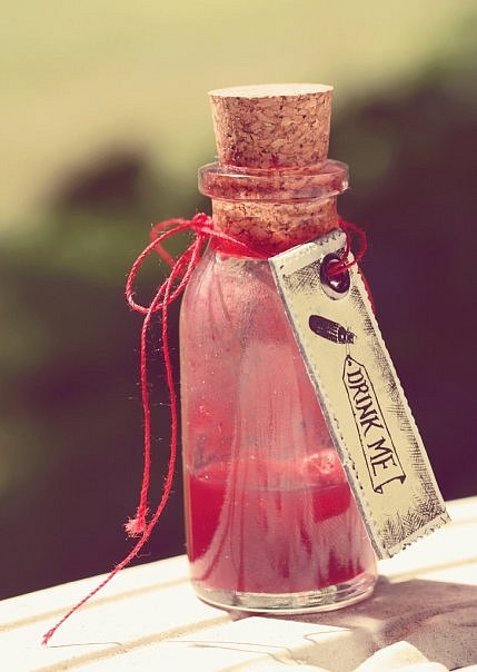 №127, Даша Лис №127, Даша Лис