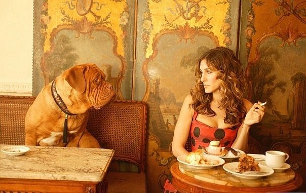 Настя Давиденко | Днепр (Днепропетровск)