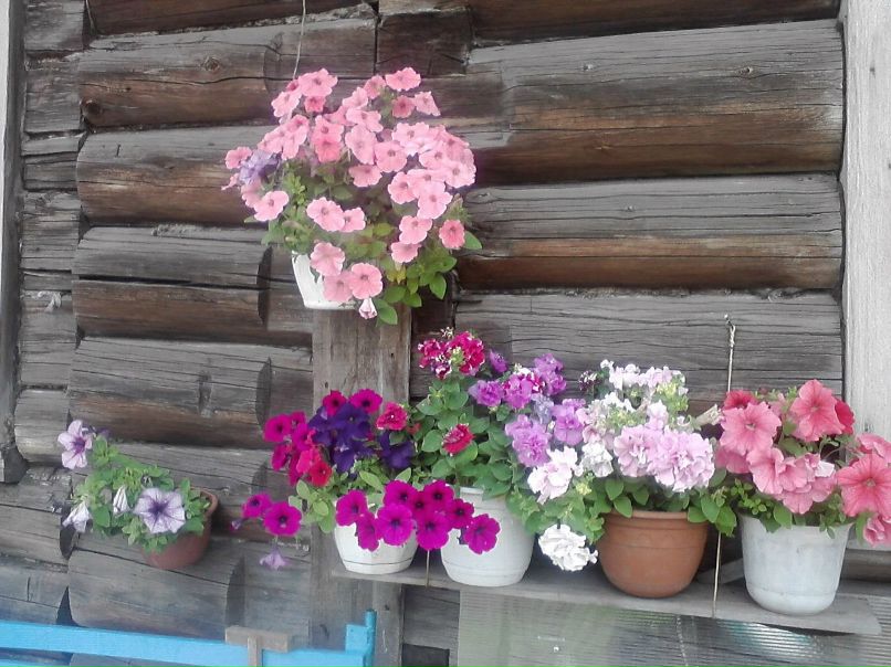 Татьяна Кулакова | Коноша