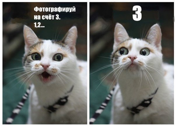 Вадим Зяблов | Краснодар