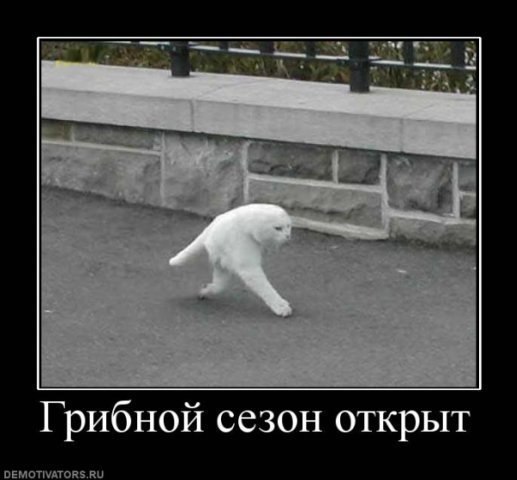 Данил Рындин | Челябинск