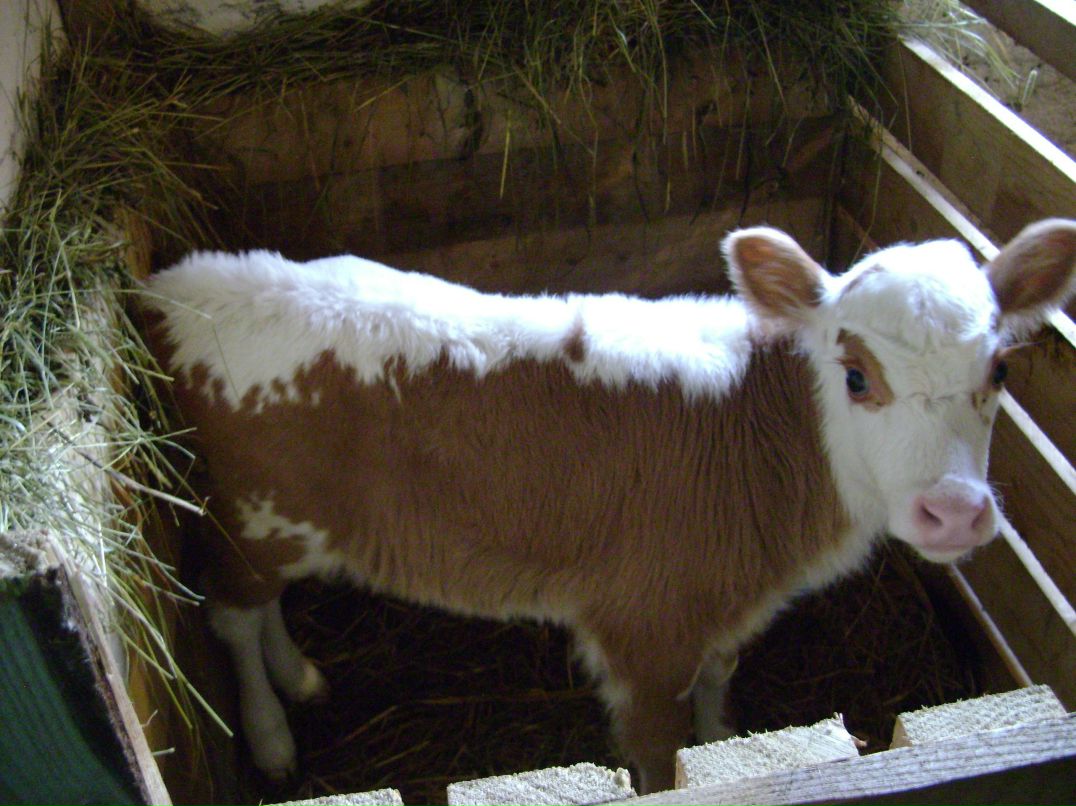 Наталья Александрова | Санкт-Петербург