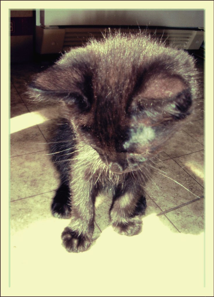 Светлана Белянкина | Сургут