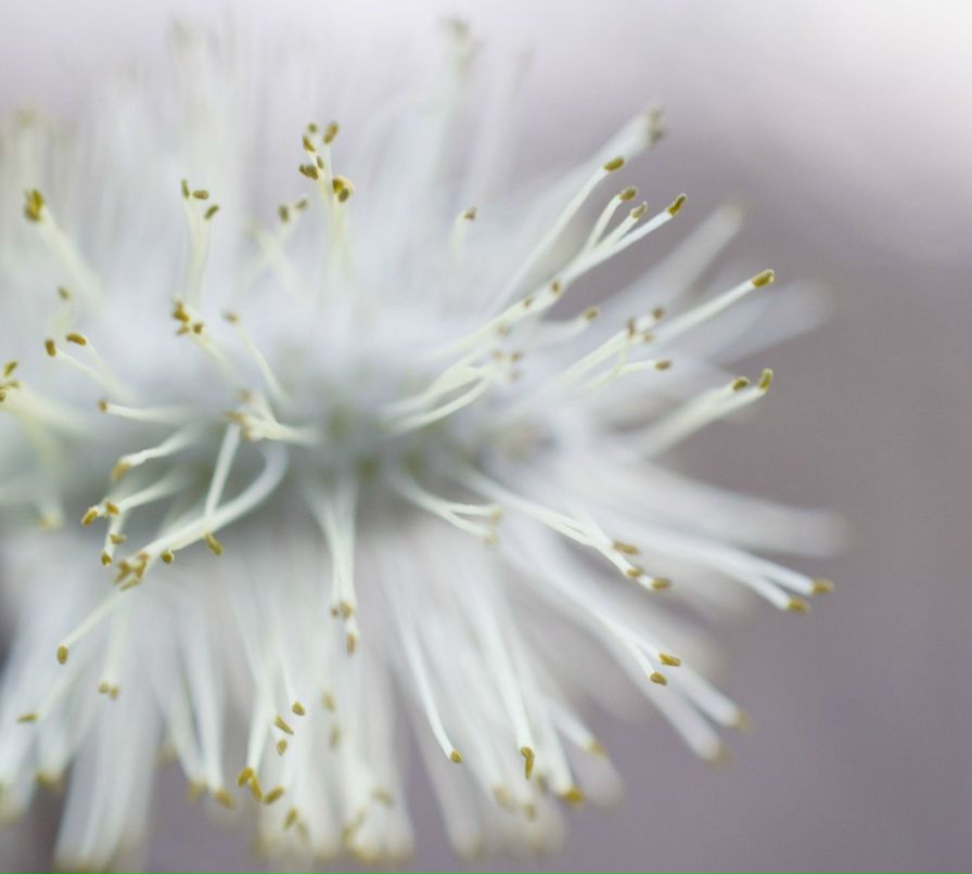 Jodie Foster Гений-Шизофрен | 