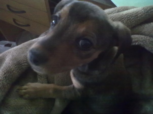 №63, Ника Михайлова №63, Ника Михайлова