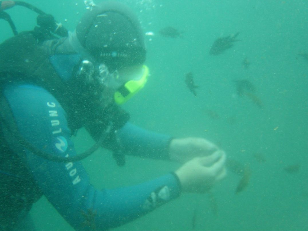 Георгий Даниленко | Санкт-Петербург