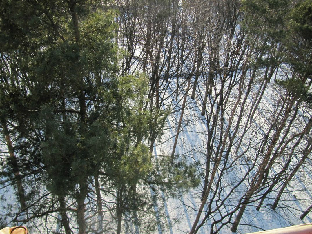 Наталья Самрук ARIAN | Киев