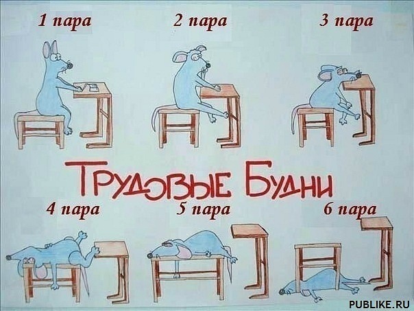 №21, Мари Луцко №21, Мари Луцко