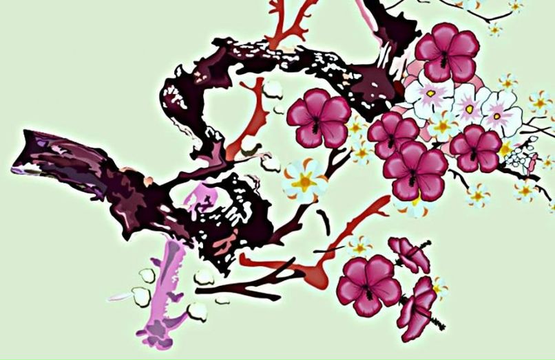 Эльза Антропова(Горяева) | Элиста