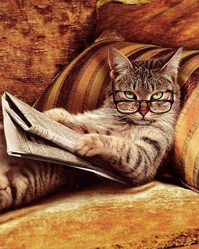 Таня Чуприкова | Санкт-Петербург