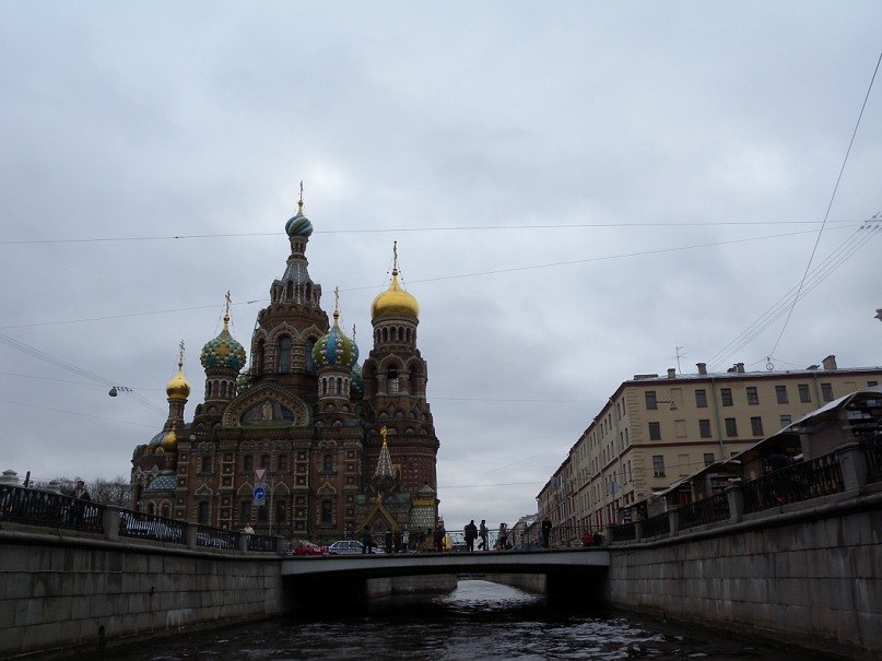 Светлана Заведея | Киев