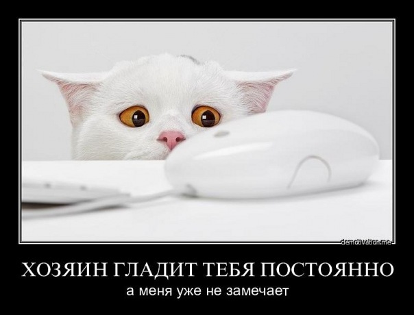 №5, Андрей Паламарчук, 06.01.1988, Севастополь №5, Андрей Паламарчук, 06.01.1988, Севастополь