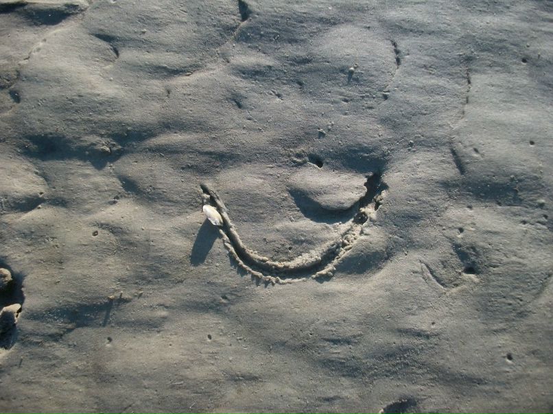 Мария Рафалюк | Киев