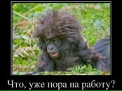 Фотография Алла Кривоносова