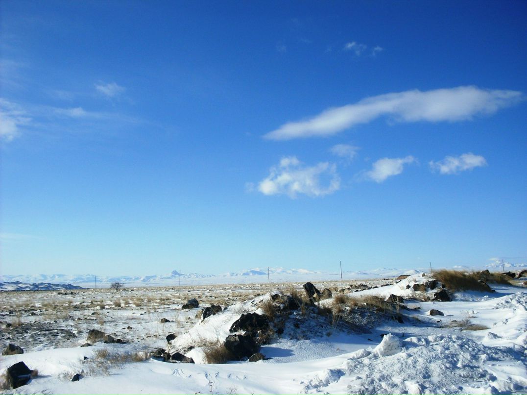 Анюта Маркелова PangoLin | Солнечногорск
