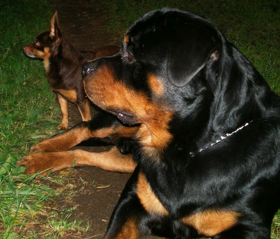 Елена Морозова | Санкт-Петербург