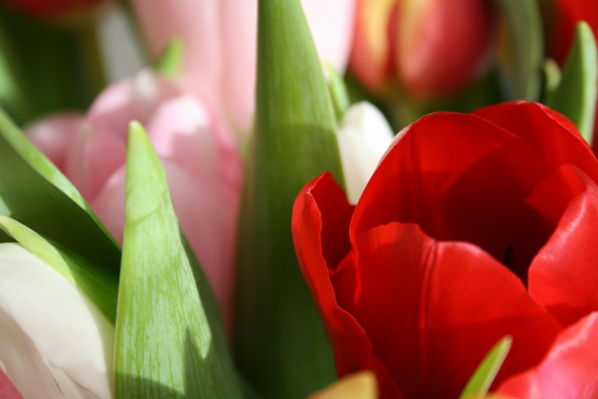 Любовь Чёрная | London