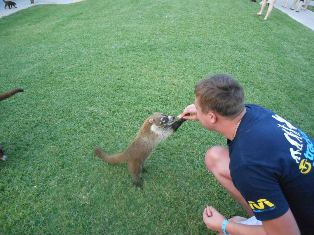 Тарас Пігура | Chicago