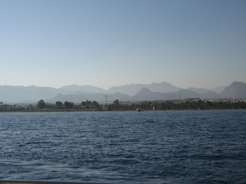 Евгений Васин | Люберцы