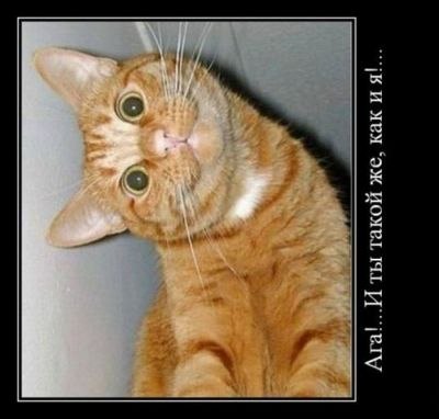 Анатолий Лахман | Москва