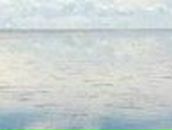 Олександр Барановський | Харьков