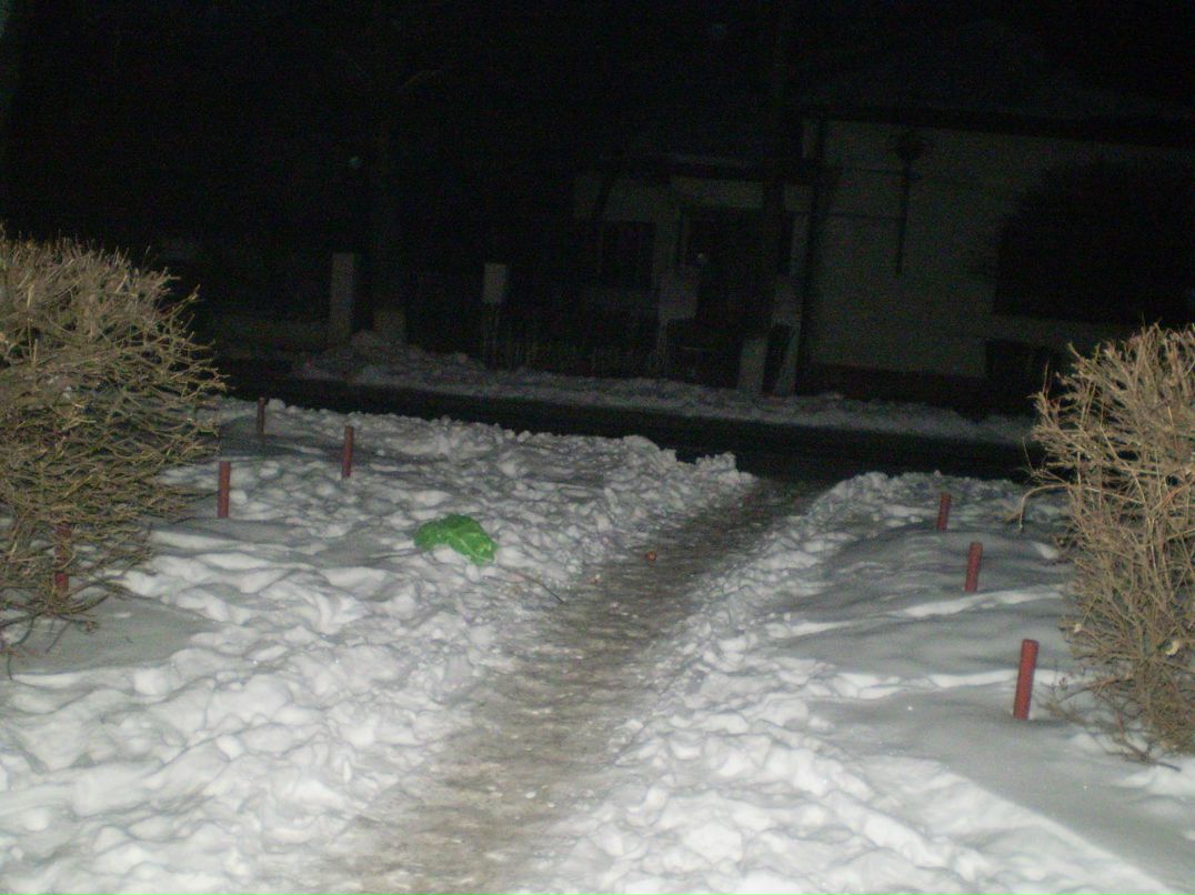 Григорий Анк | Берегово