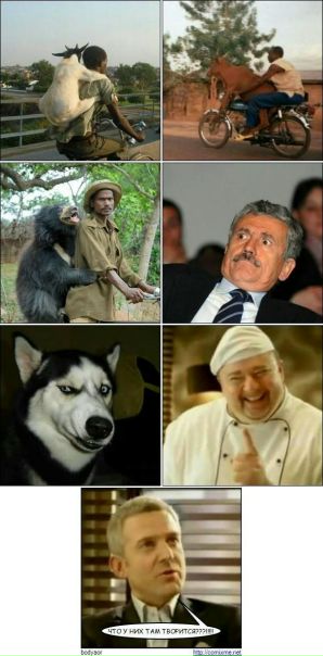 №17, Дмитрий Карпенко, 40 лет, Киев №17, Дмитрий Карпенко, 40 лет, Киев