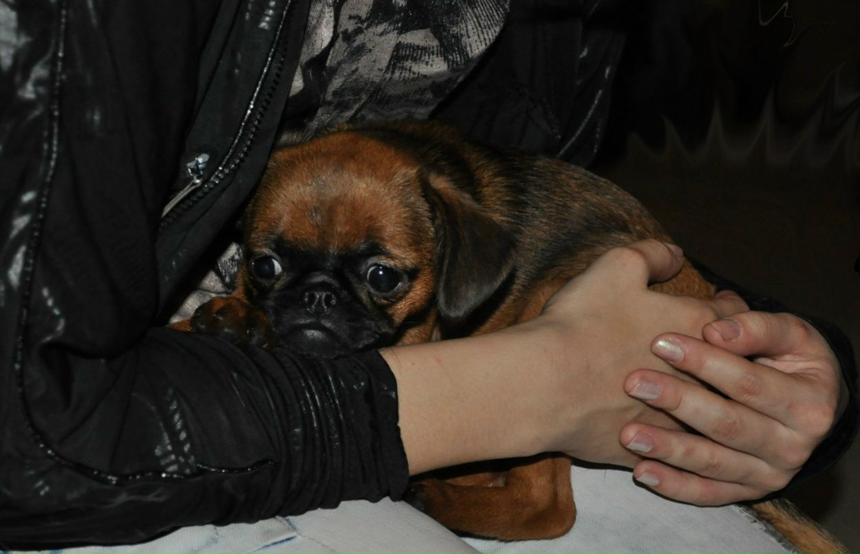 Александра Никитина | Санкт-Петербург