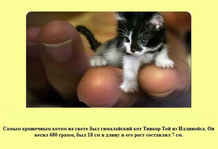 №21, Ксения Дёмина, Донецк №21, Ксения Дёмина, Донецк