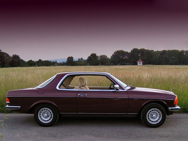 Максим Пономарев Олегович | Барановичи