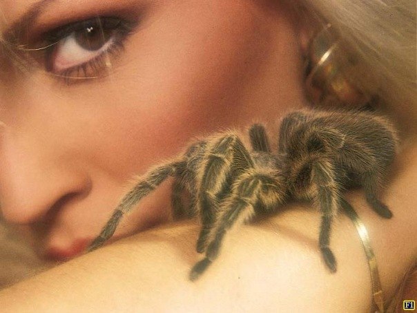 Ira Demchenko | Лубны