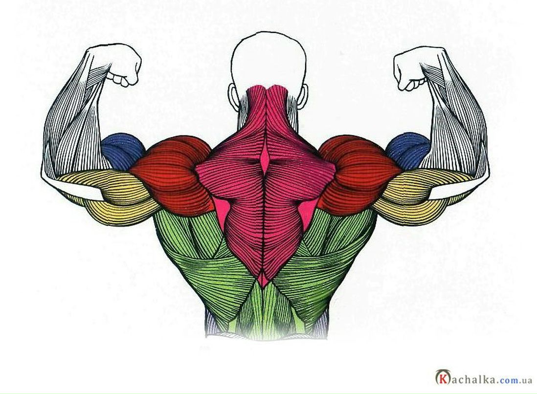 Евгений Сизов | Кострома