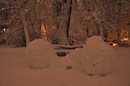 №29 Татьяна Чернова : профиль, фото, статус - ВКонтакте
