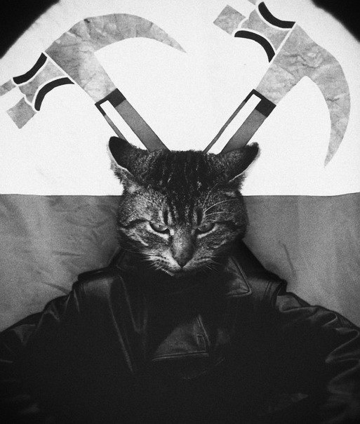 Попробуй Угадай Мяу | Москва