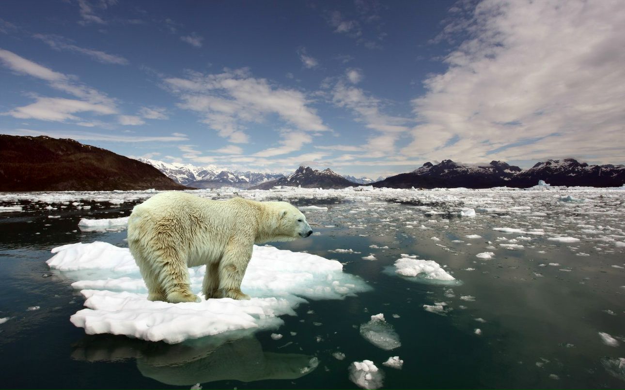 Тамара Синева | Москва