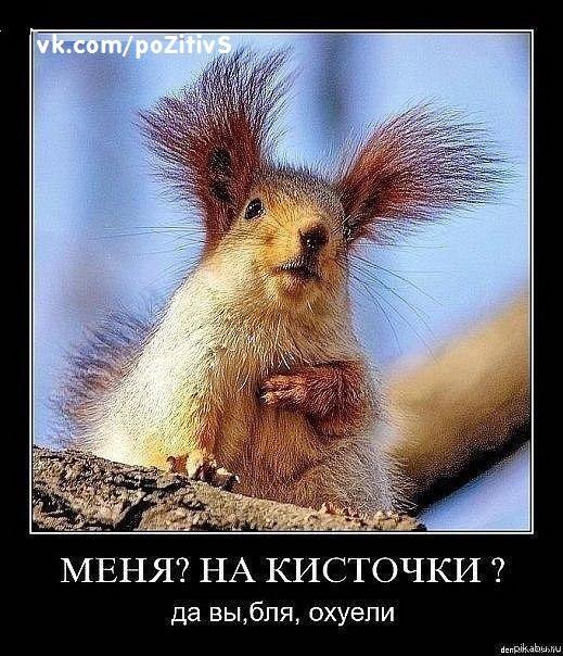 Иван Зиновьев | Петрозаводск