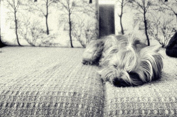 Анна Дацюк | Полтава