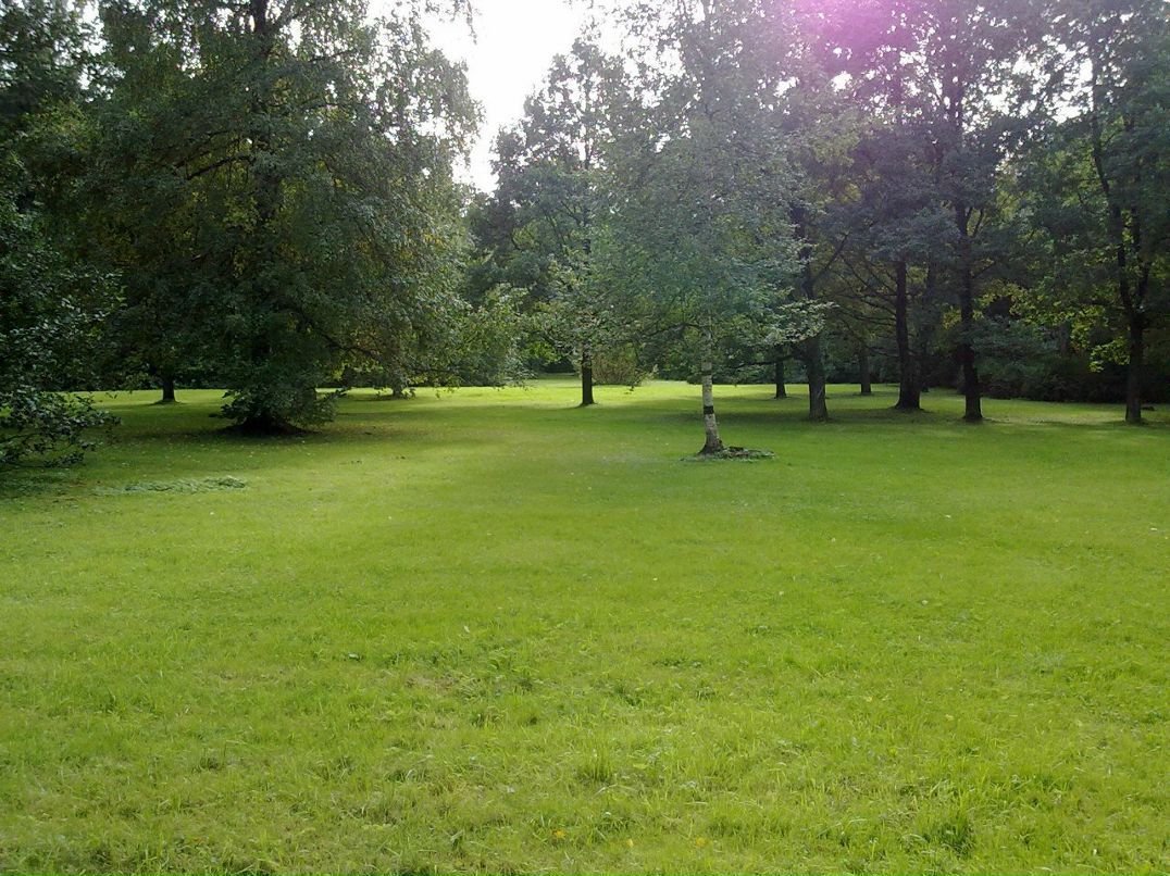 Роман Баглай Дмитриевич | Волгоград