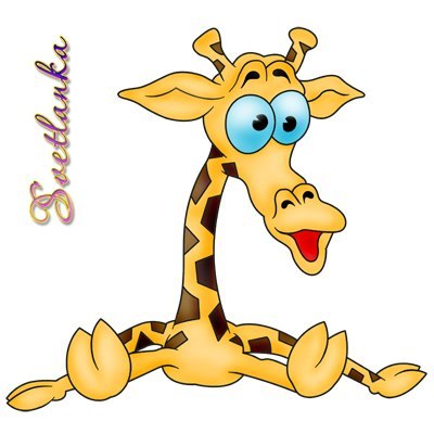 Роман Иванов | Великий Новгород