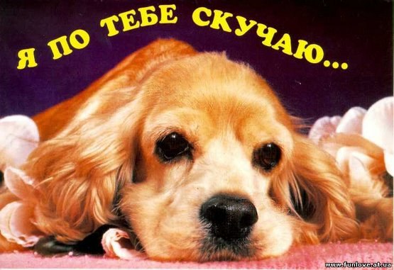 Александр Ершов Сергеевич | Бокситогорск