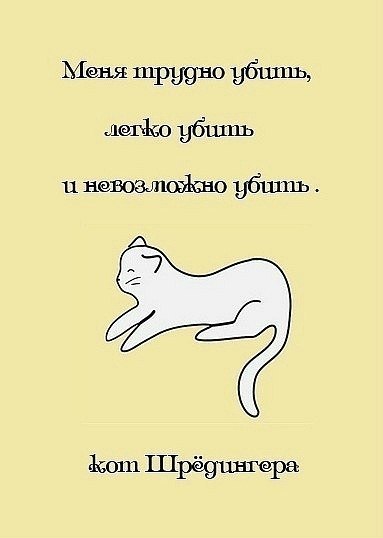 Дарья Концуб Р.О.Б. | Санкт-Петербург